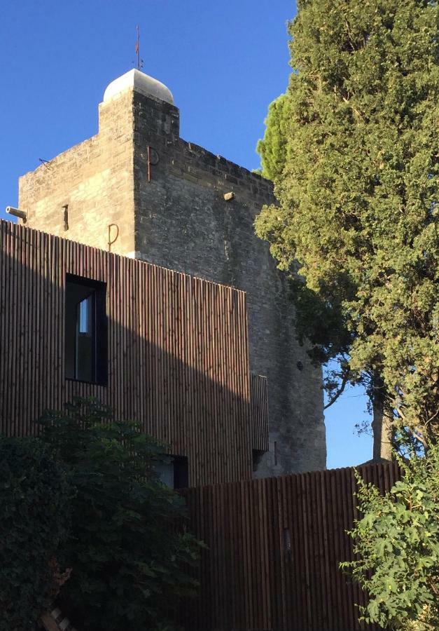 Tour Sarrazine De Montaren Bed & Breakfast エクステリア 写真